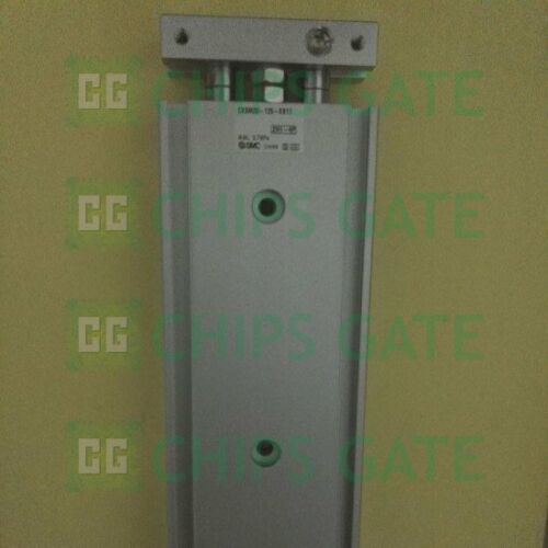 SMC cylinder CXSM20-125-XB11