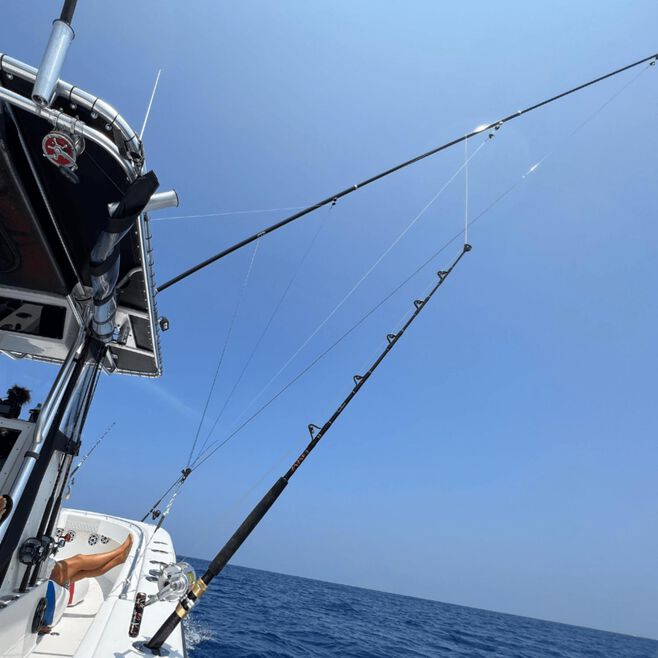Taco Metals OI-3190CF Taco Open Water Internal & Collapsible Carbon Fiber, Outrigger Poles, 19"