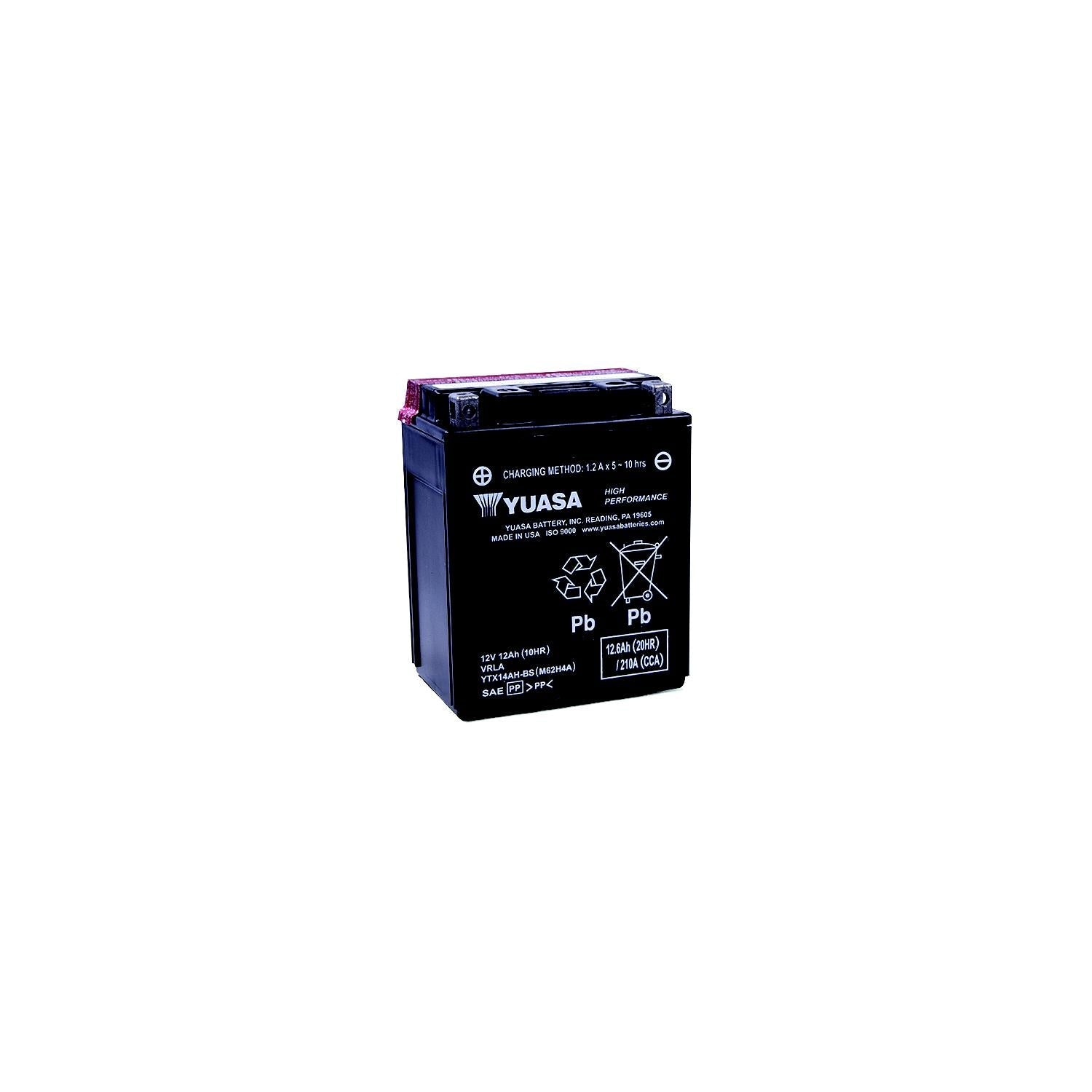 Yuasa Battery Inc. YUAM62H4L Yuasa High Performance, Maintenance Free Battery Fresh Pack
