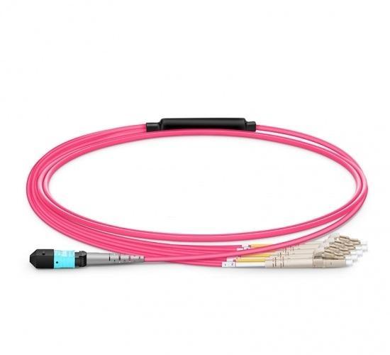 MTP Female to 4 LC UPC Duplex 8 Fibers LSZH OM4 50/125 MMF Elite Breakout Cable, Magenta