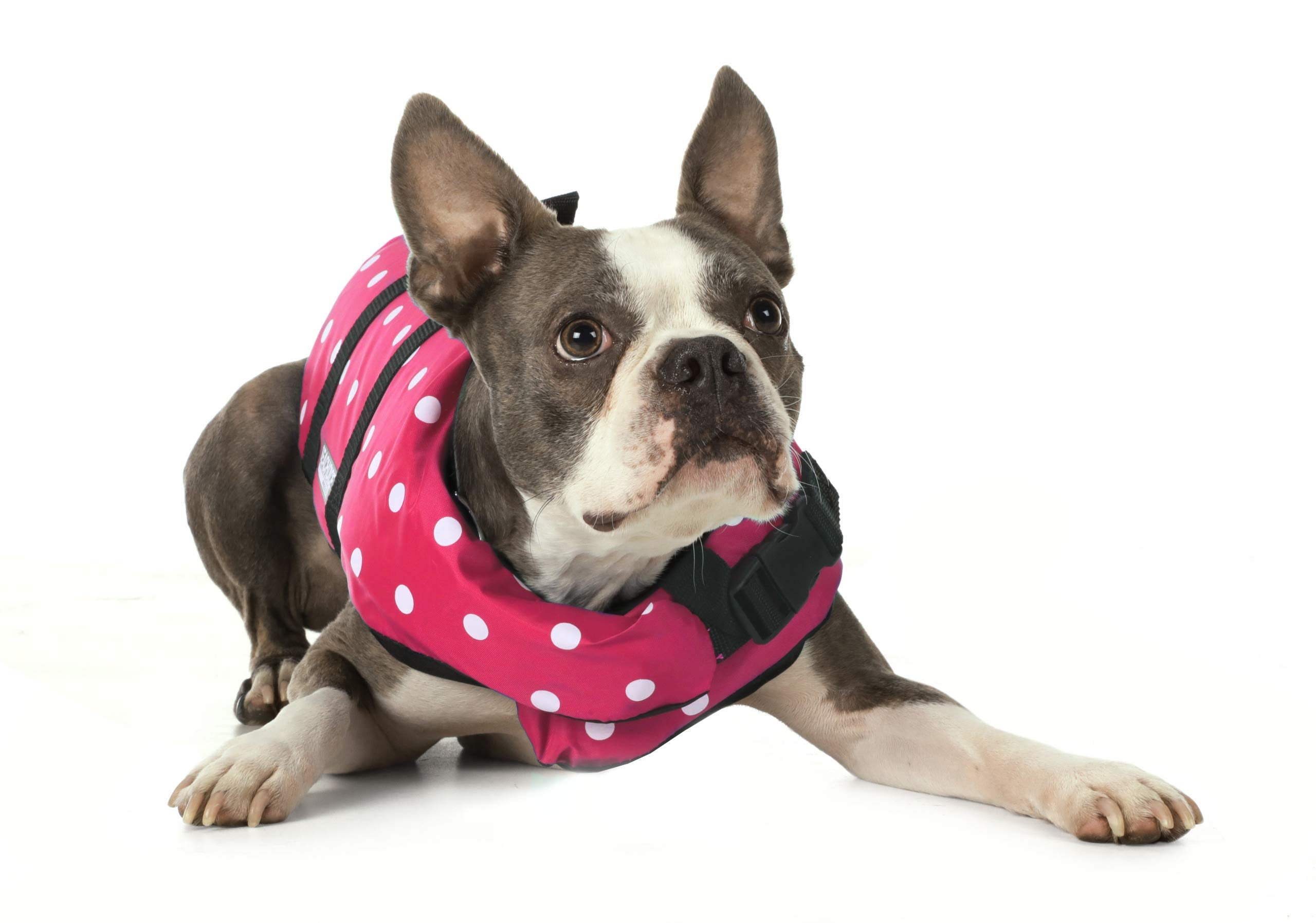 Seachoice Dog Life Vest Polka Dot