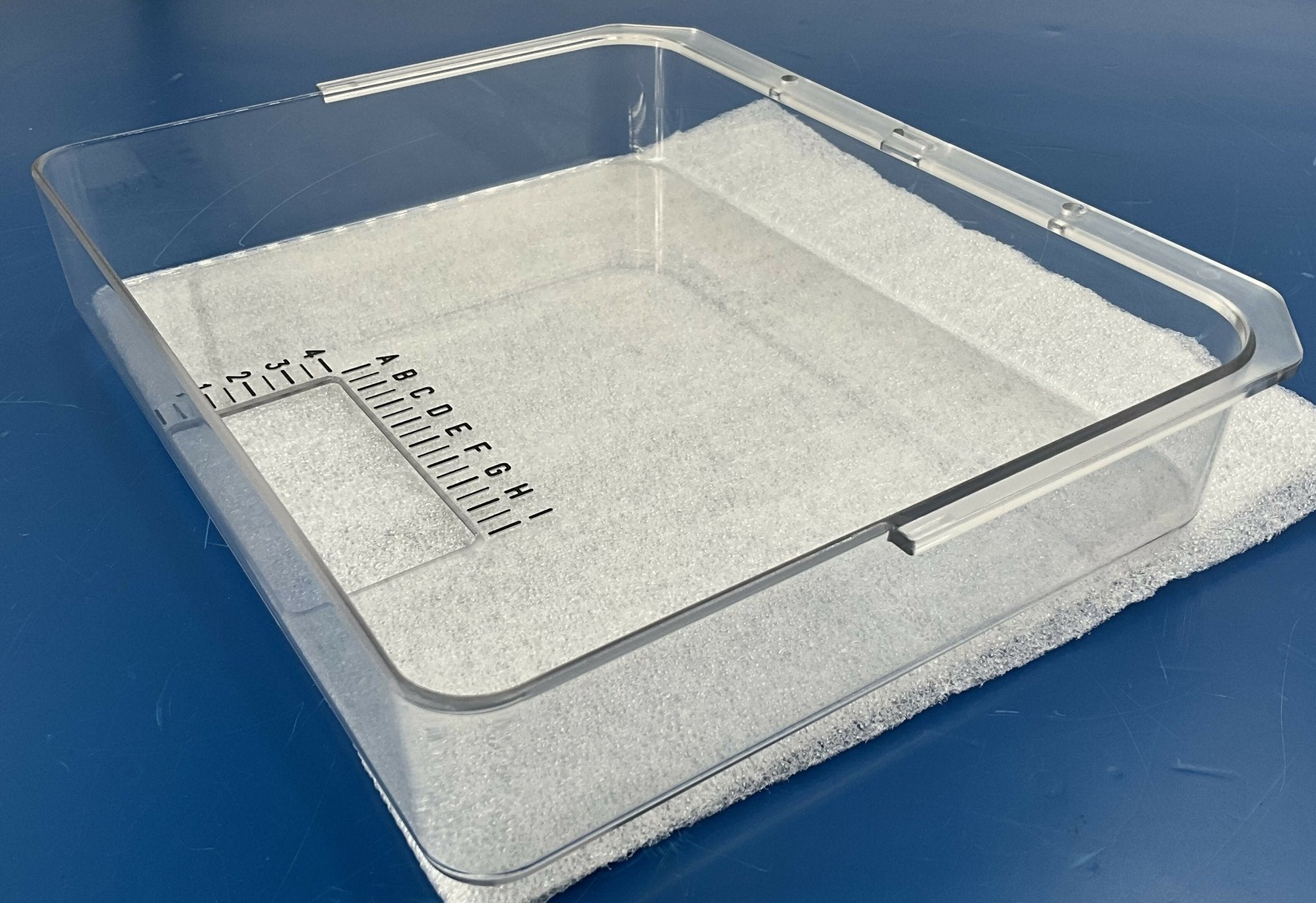 BIOPSY PLASTIC PLATE LABE (2379076-2 GE