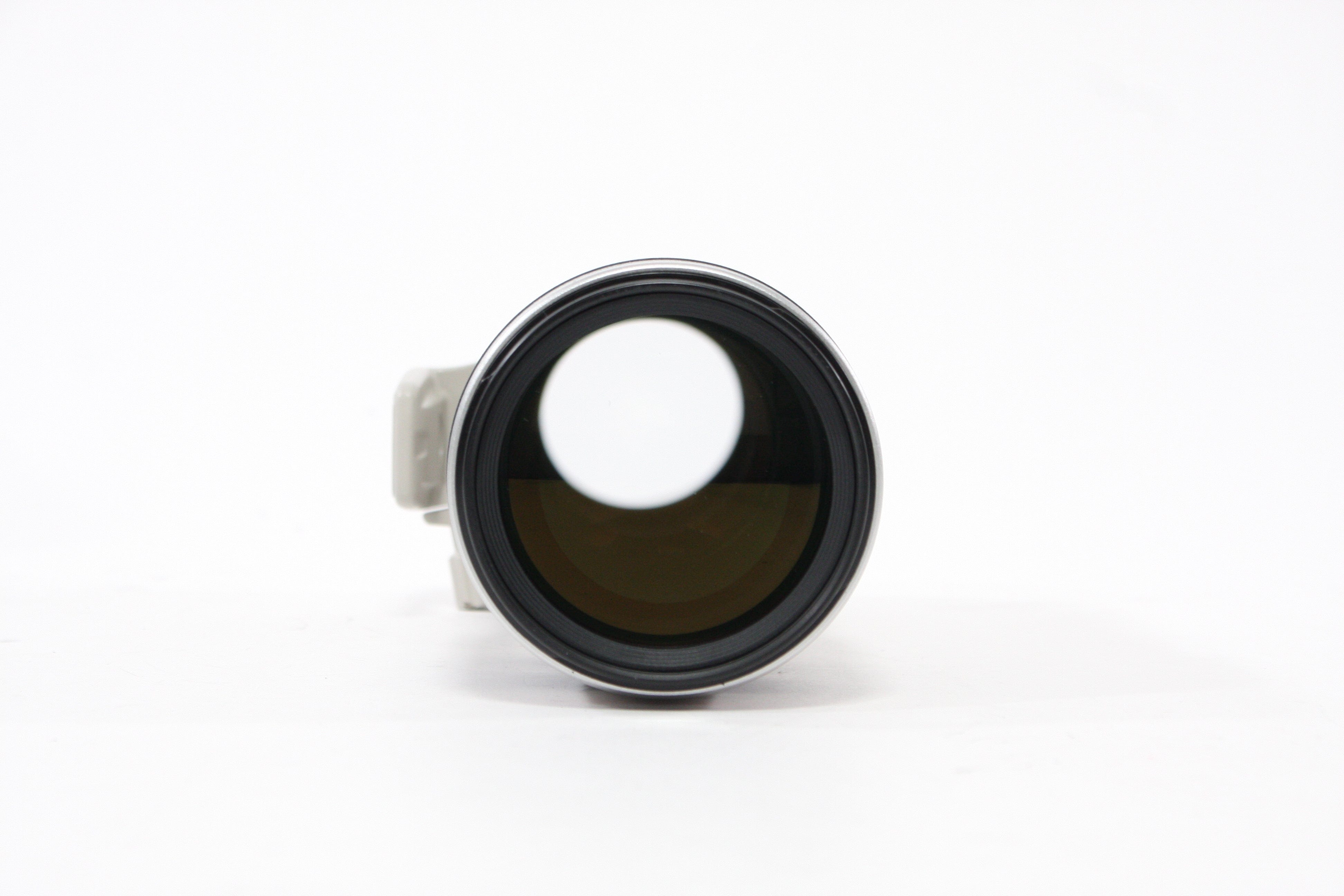 Canon 100-400mm f/4.5-5.6L IS EF