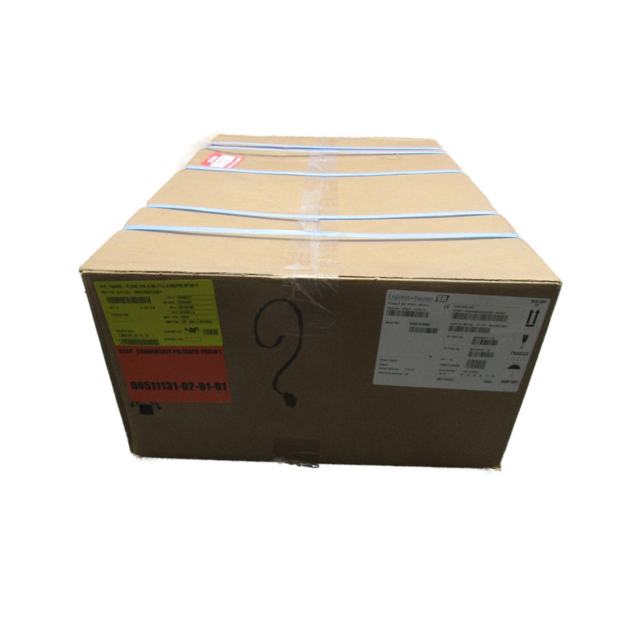 ENDRESS+HAUSER 5P3B1F-17VP5/115 F/W 01.06.03 NSFS