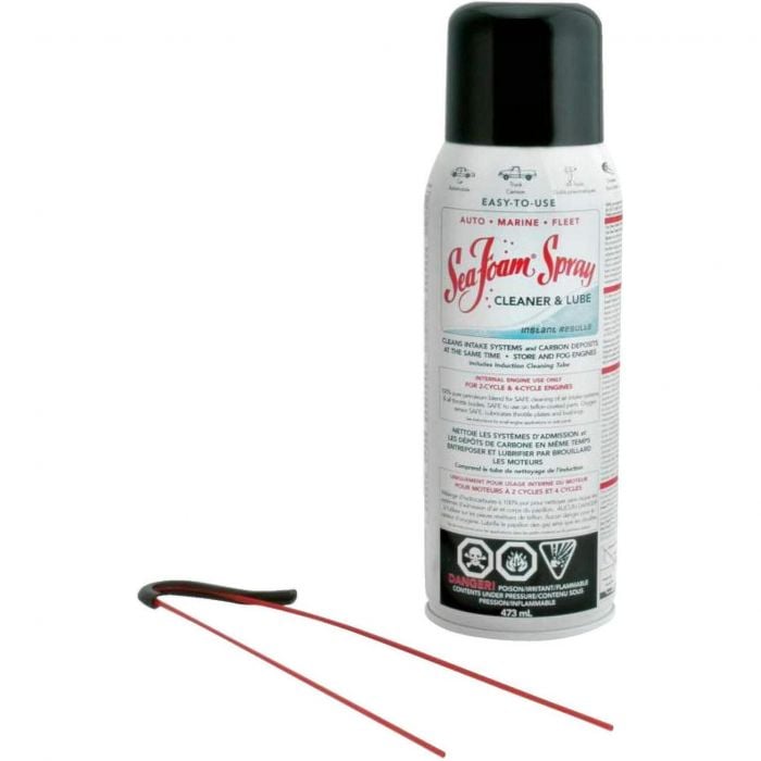 Seafoam SS14 Sea Foam Spray Cleaner & Lube, 14 oz., 12/case