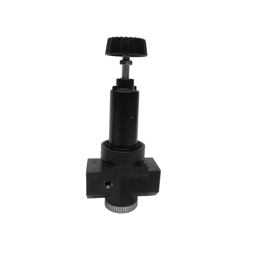 WILKERSON R30-06-000 300PSI NSNP