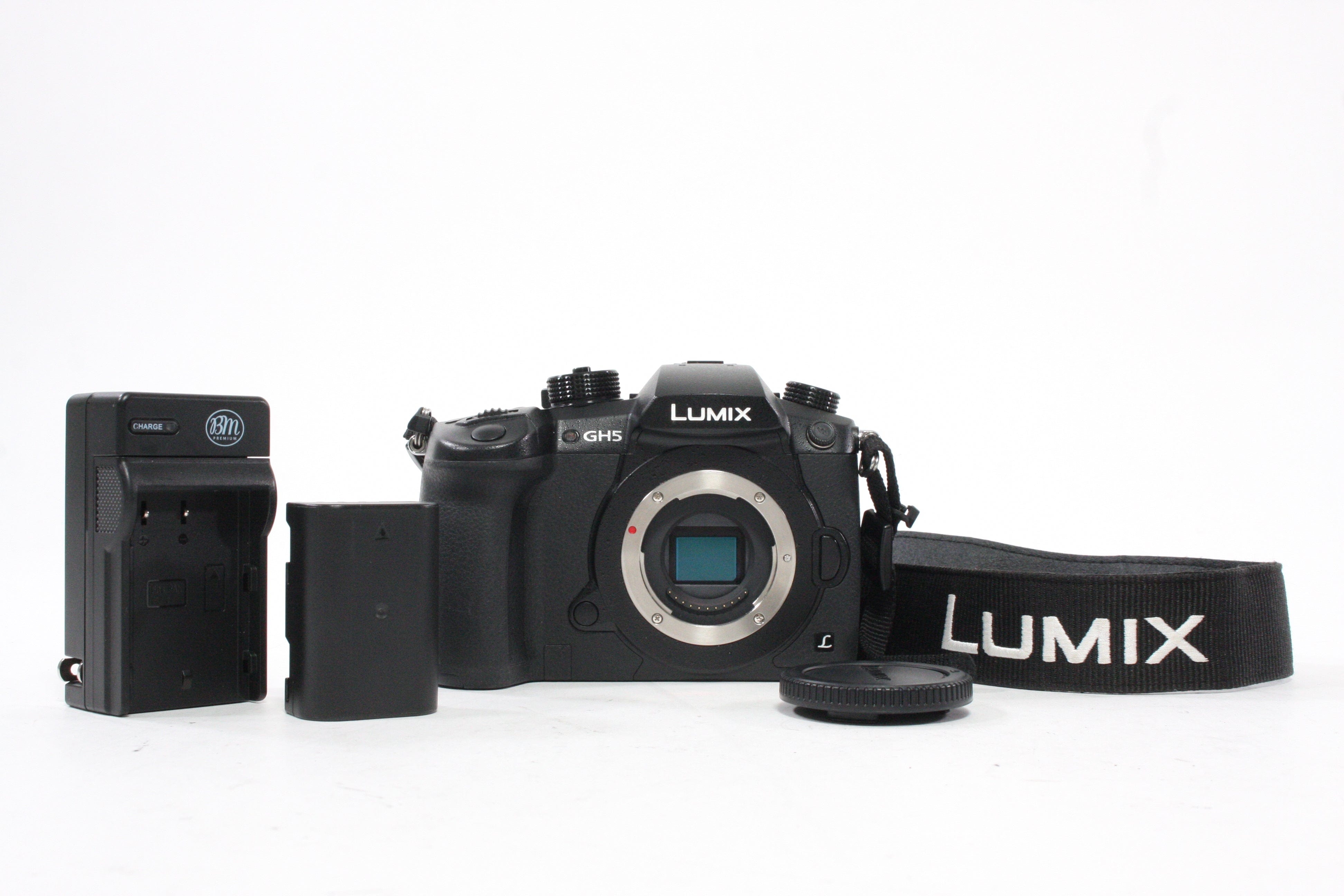 Panasonic Lumix GH5 Mirrorless Digital Camera