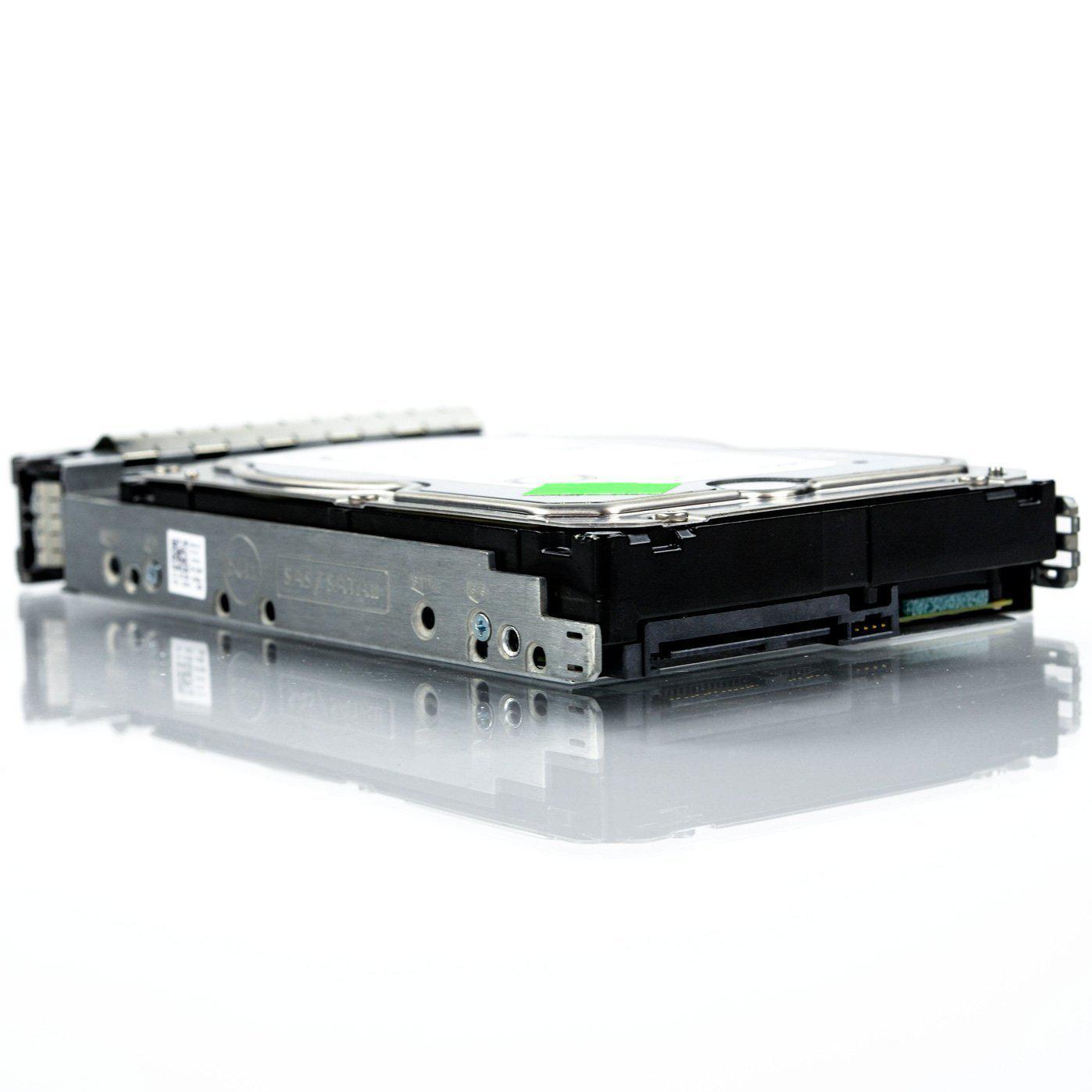 Dell FNW88 1TB 7.2K RPM SAS 3.5 6GB Hard Drive Rigido