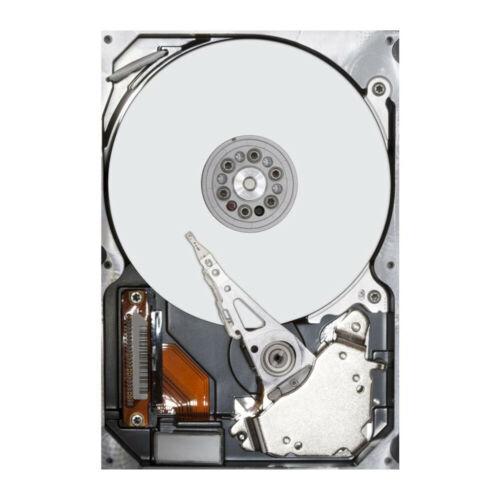 Seagate ST8000NM000A Enterprise 8TB 7200RPM SATA 3.5" HDD - Detail View | Alo Tech Solutions