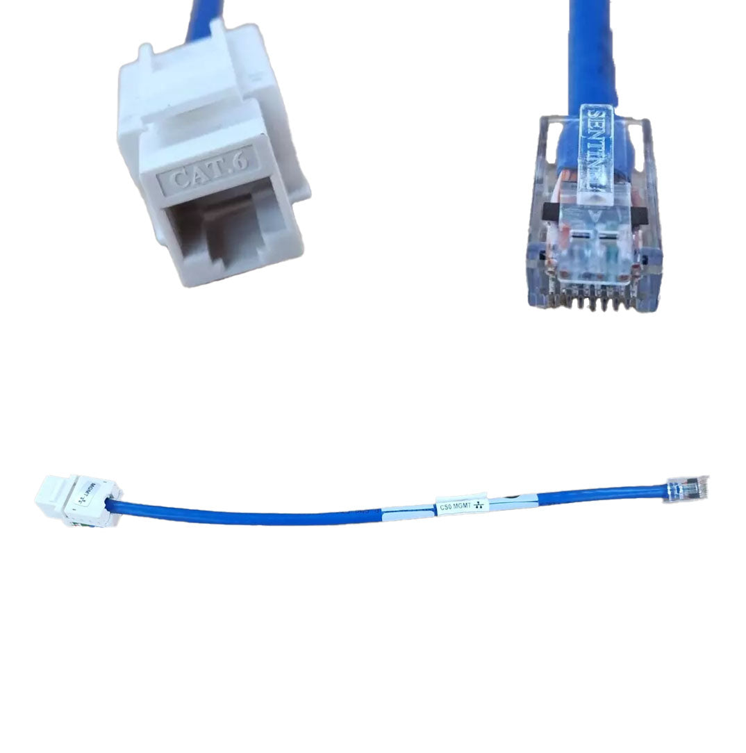 EMC Cat-5E/6 1Ft Panel-Mount Ethernet Data Cable | 038-003-718