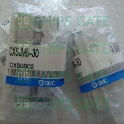 SMC CXSJM6-30 double cylinder