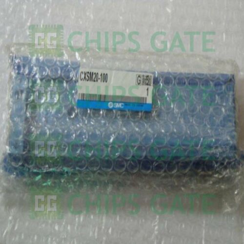 SMC cylinder CXSM20-100
