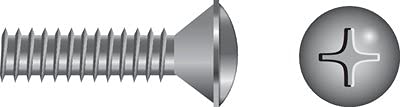 Seachoice SC0847 Phillips Machine Screw Oval Head, 10-24 x 1"