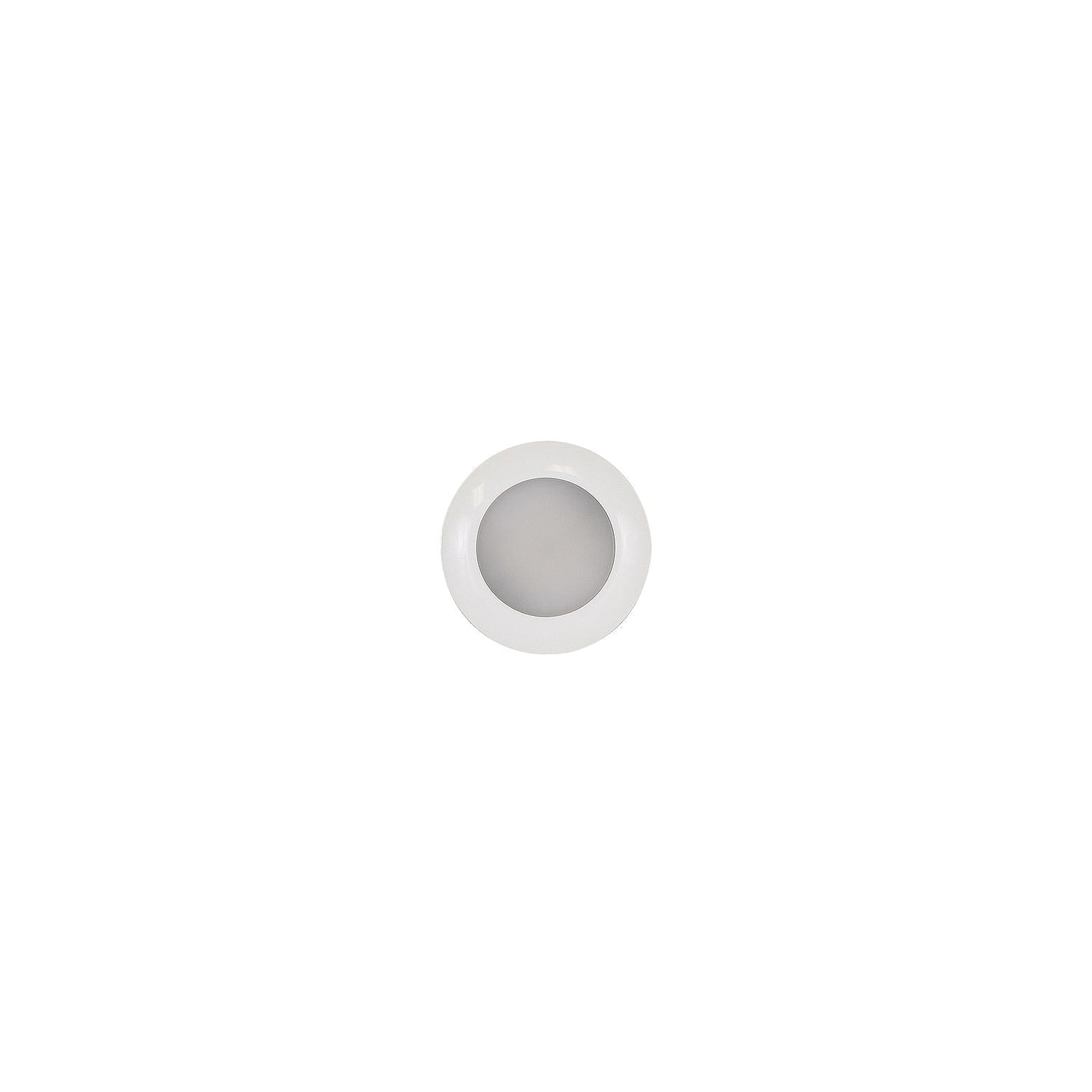 Scandvik 41672P S3 Surface Mount LED Downlight w/White Bezel, Cool White / Blue
