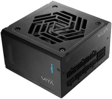 FSP VITA GM 1000W Power Supply, 80 Plus Gold, ATX 3.1/PCIe 5.1, Full Modular, 10 Year Warranty (VITA-1000GM