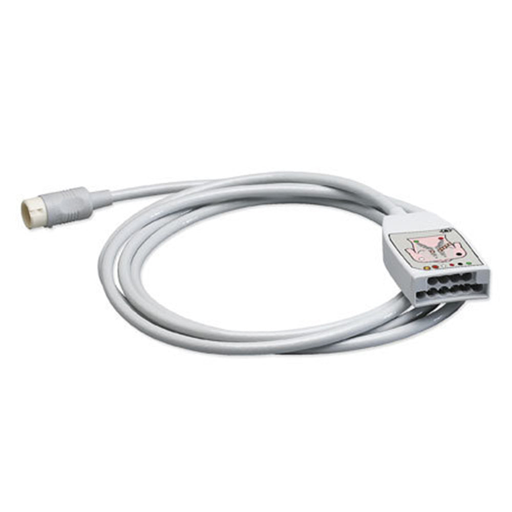 Hewlett Packard Philips 10 Lead Trunk Cable (M1665A, AAMI & IEC