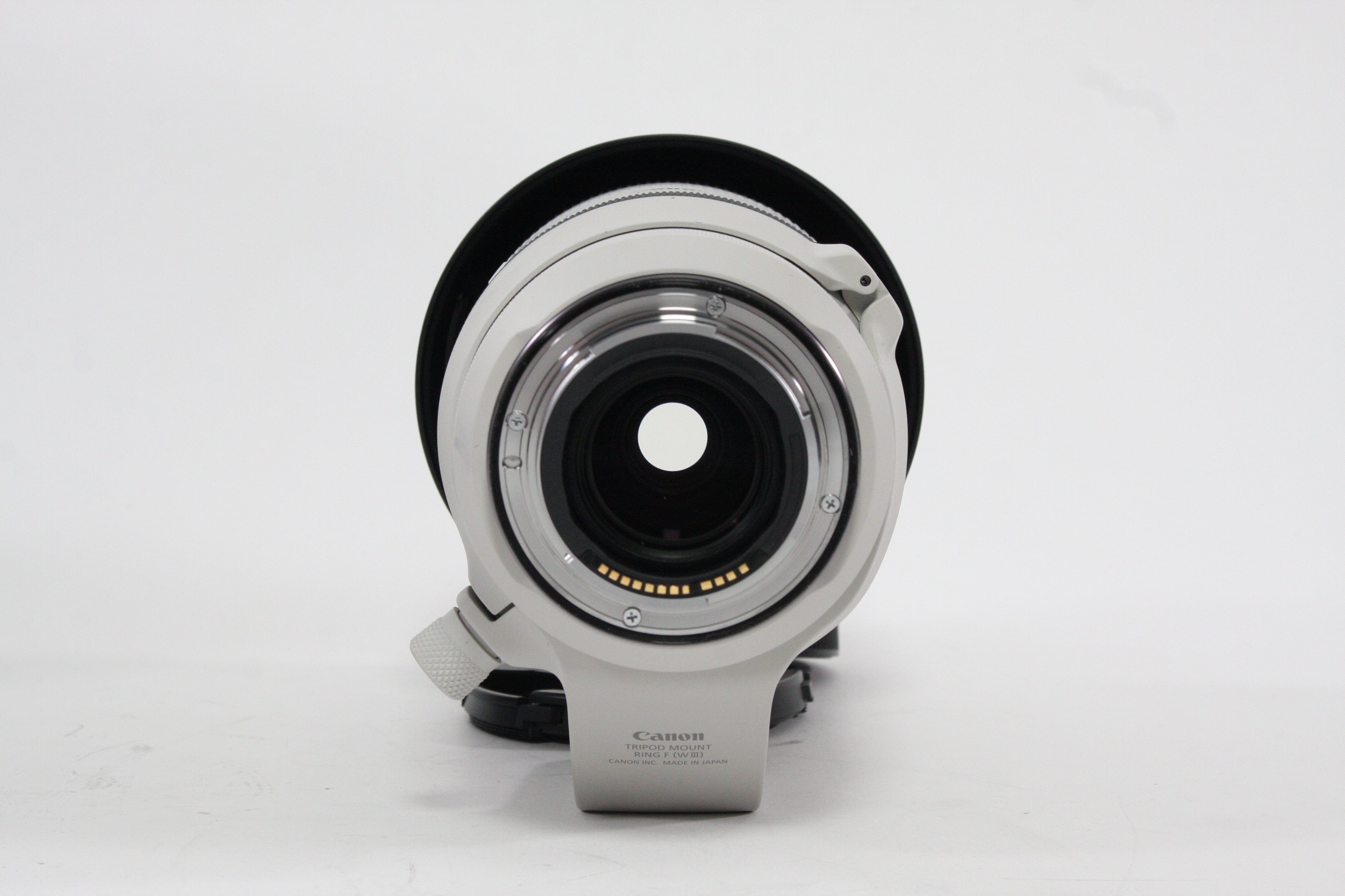 Canon 100-500mm f/4.5-7.1L RF Lens