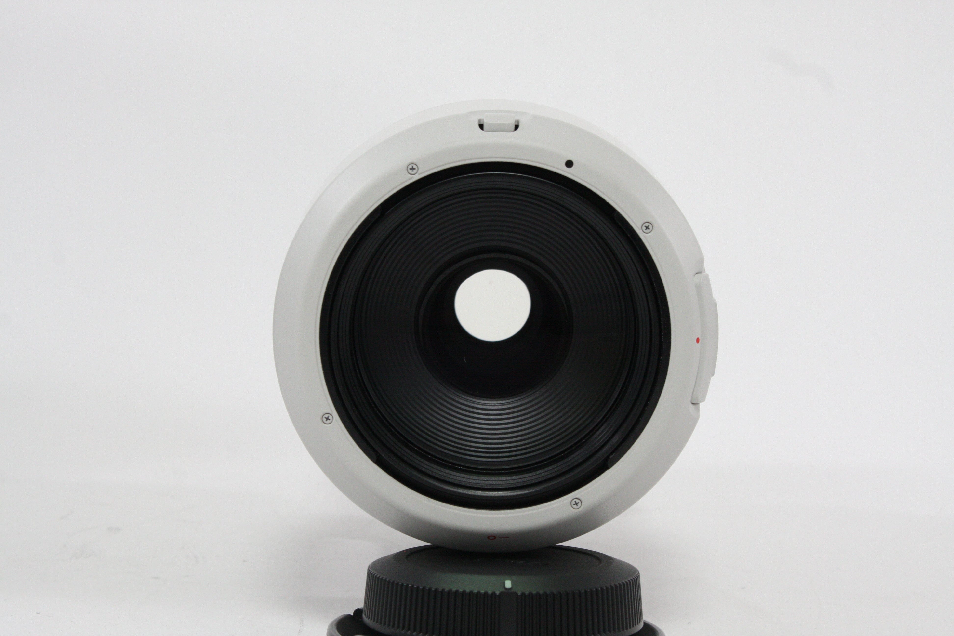 Canon 100-500mm f/4.5-7.1L RF Lens