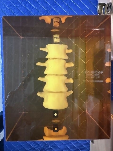 Hologic Spine Phantom (Pre-owned