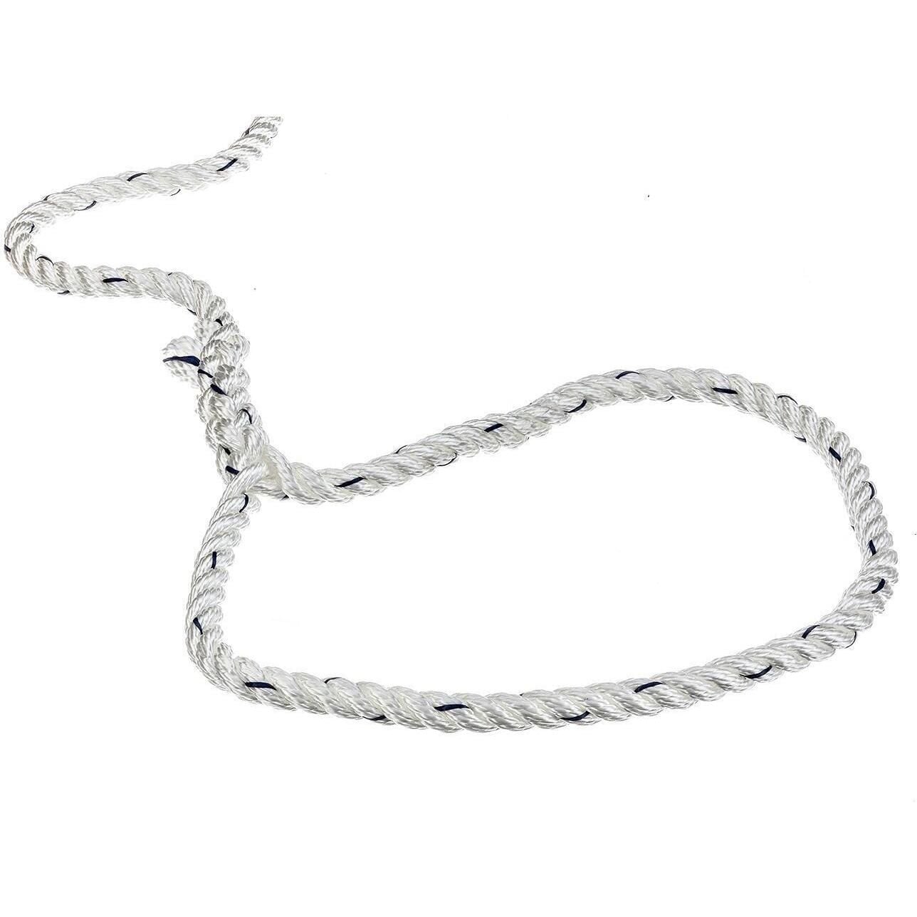 Seachoice 47531 Premium 3-Strand Twisted Nylon Dock Line, White w/ Blue Tracer, 3/8" x 25'