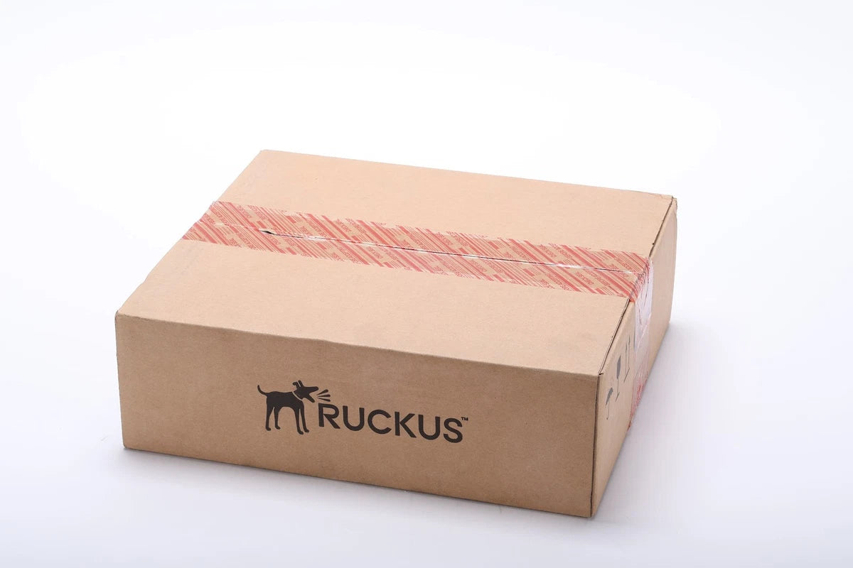 Ruckus ICX 7150-C12P-2X1G 12-Port Managed Compact Switch - NEW / Sealed