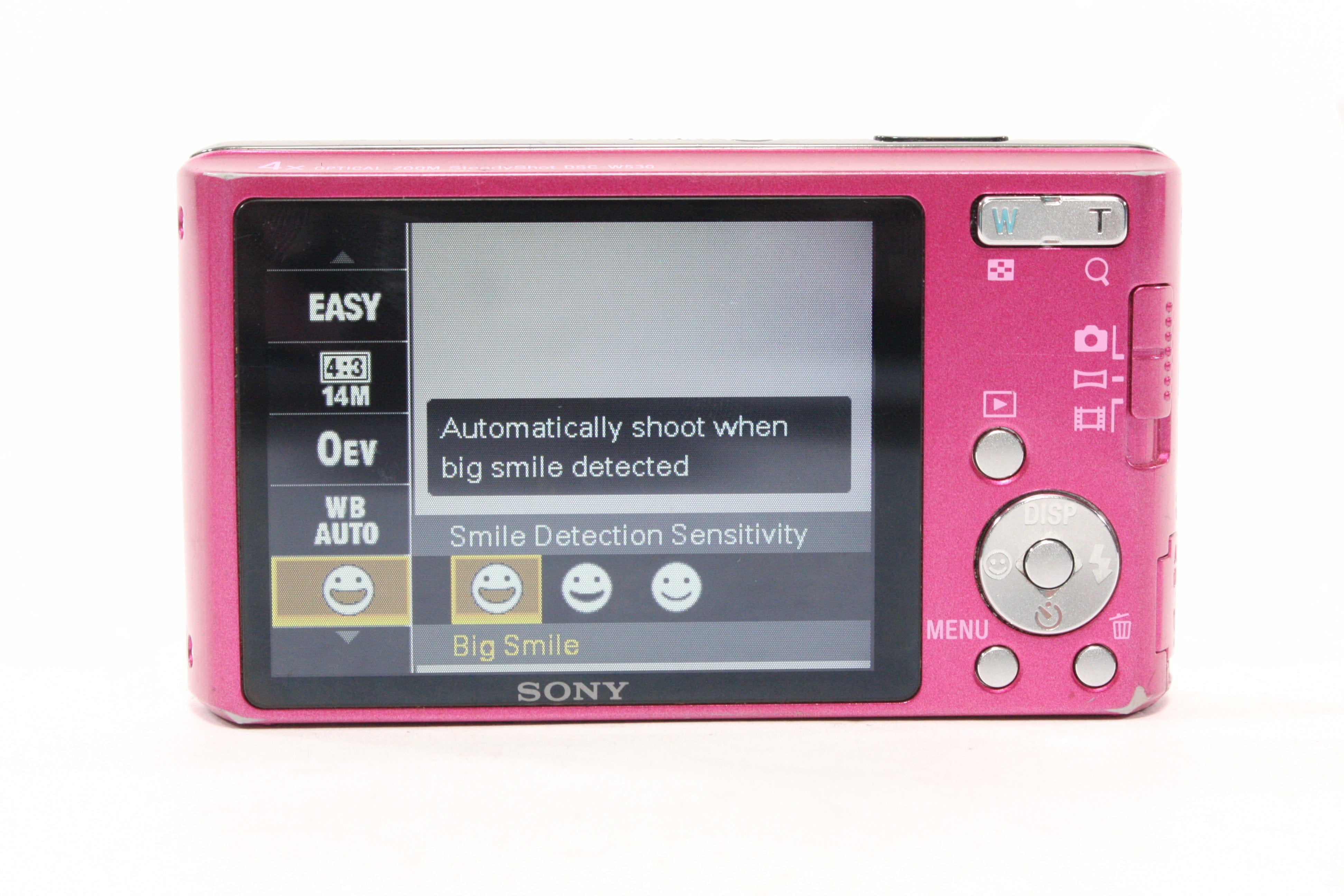 Sony Cyber-shot W530 Digital Point-and-Shoot 4x Zoom 14.1mp