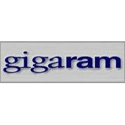 16GB DELL Poweredge Memory Upgrade PC3-12800 DDR3-1600 SNP20D6FC/16G, A6994465 by Gigaram - AloinfoUSA