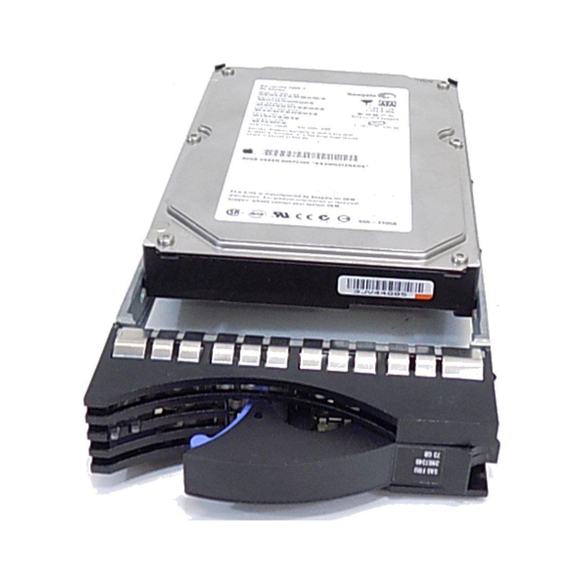 73GB SAS IBM Hot-Swap 15000RPM For IBM System x3350 39R7348 40K1043 40k1043 39r7348 26k5841 9z3066-039-FoxTI