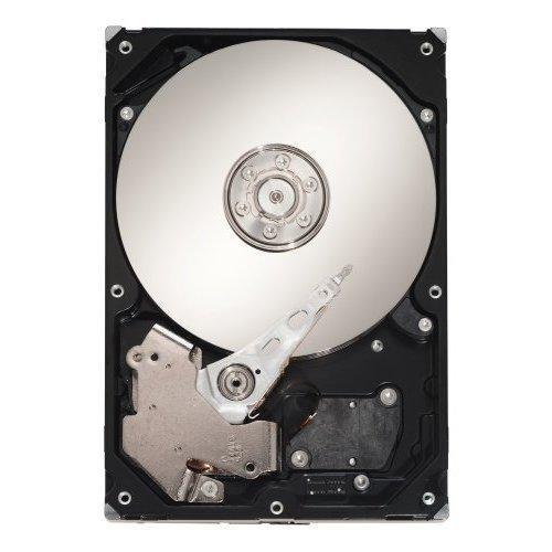 Seagate 300GB SAS 15K Rpm 3GB/S - ST3300656SS-FoxTI