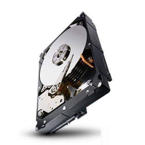 Seagate 4TB Enterprise Capacity HDD 7200RPM SATA 6Gbps 128 MB Cache&nbsp;Internal Bare Drive (ST4000NM0033)-FoxTI